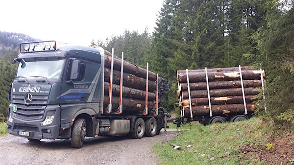 Holztransport